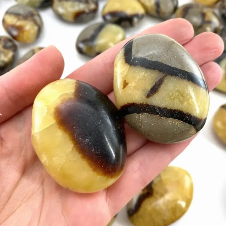 Polished natural Septarian palm stone with yellow and brown patterns, perfect as a healing worry rock for grounding.