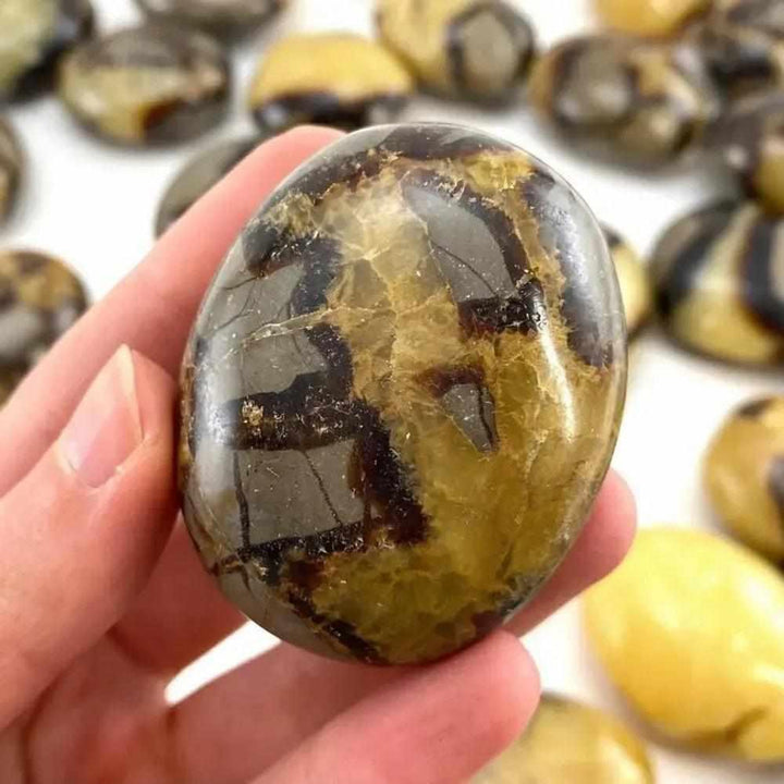 Polished Septarian palm stone with unique brown and yellow patterns, perfect as a soothing worry rock for healing energy.