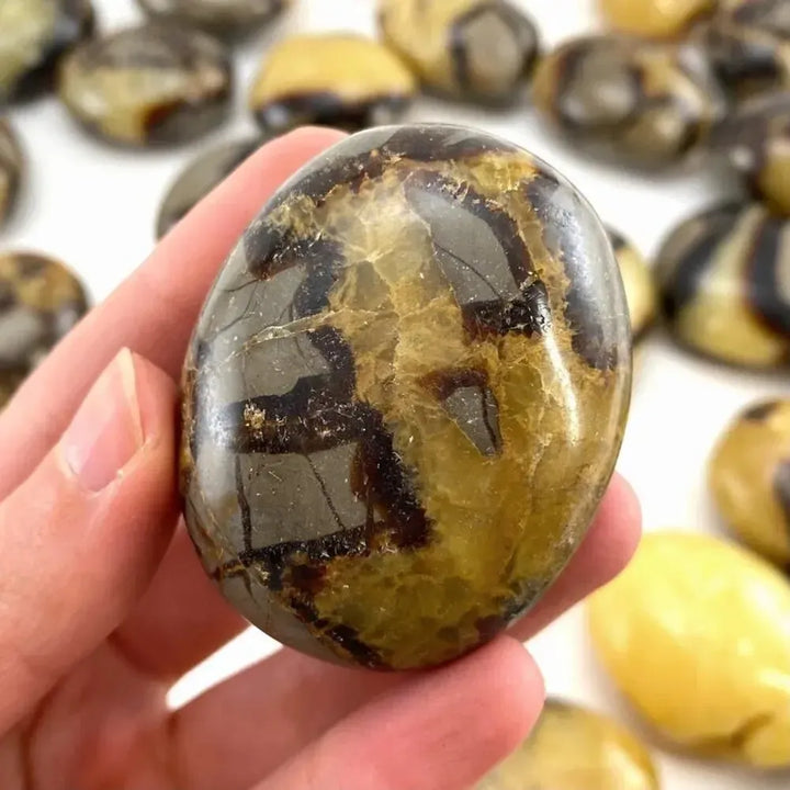 Polished Septarian palm stone with unique brown and yellow patterns, perfect as a soothing worry rock for healing energy.