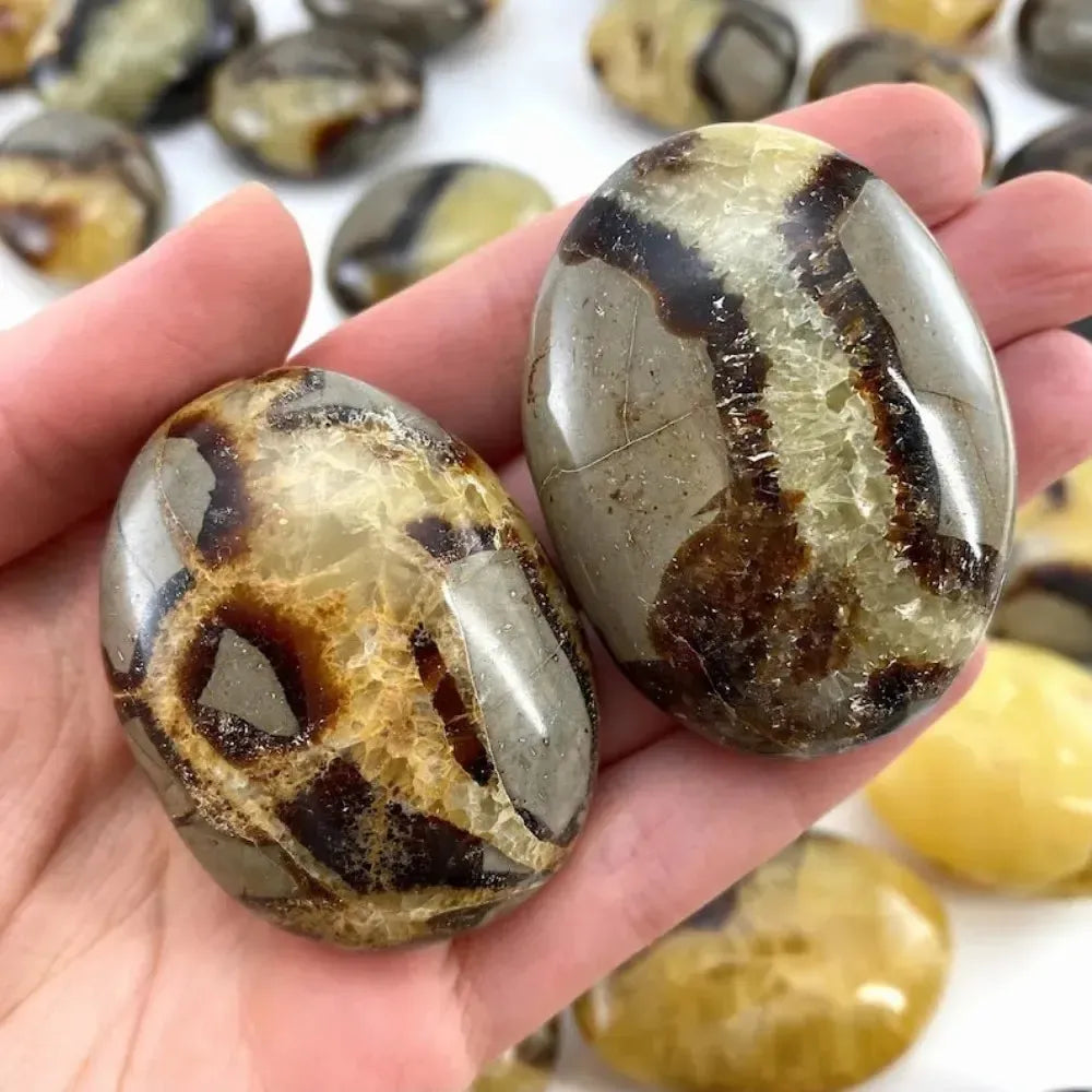 Polished Natural Septarian palm stone with unique brown and yellow patterns, perfect as a healing worry rock or pocket stone.