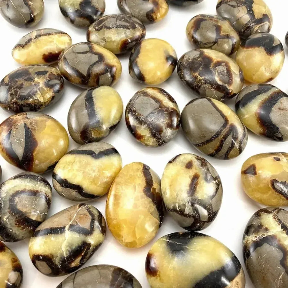 Polished Septarian pocket stone with unique yellow and brown patterns, perfect as a healing worry rock or palm stone.