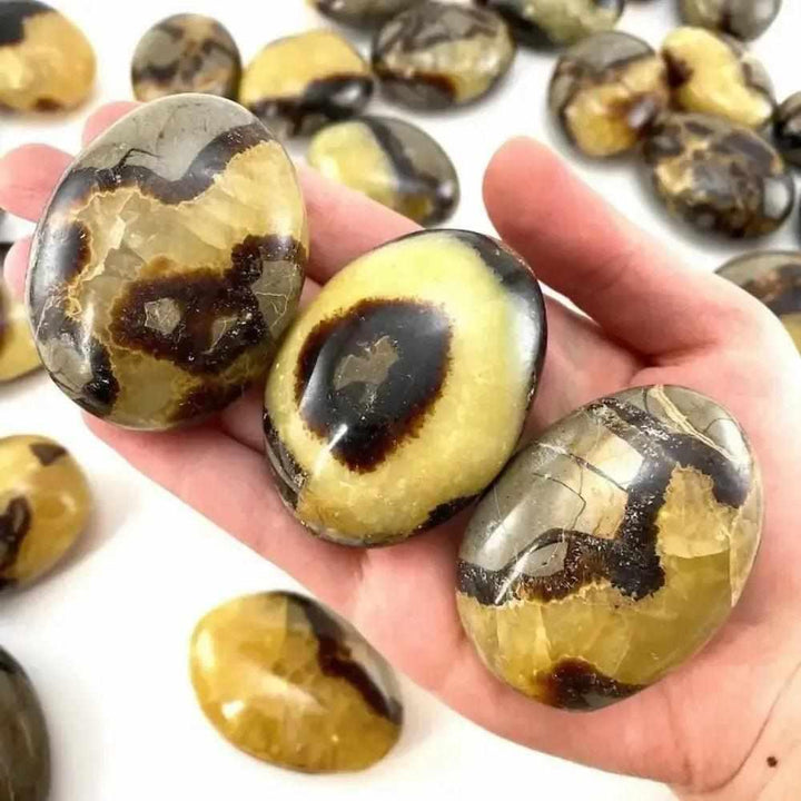 Polished Septarian palm stone with unique brown and yellow patterns, perfect as a healing worry rock for grounding energy.