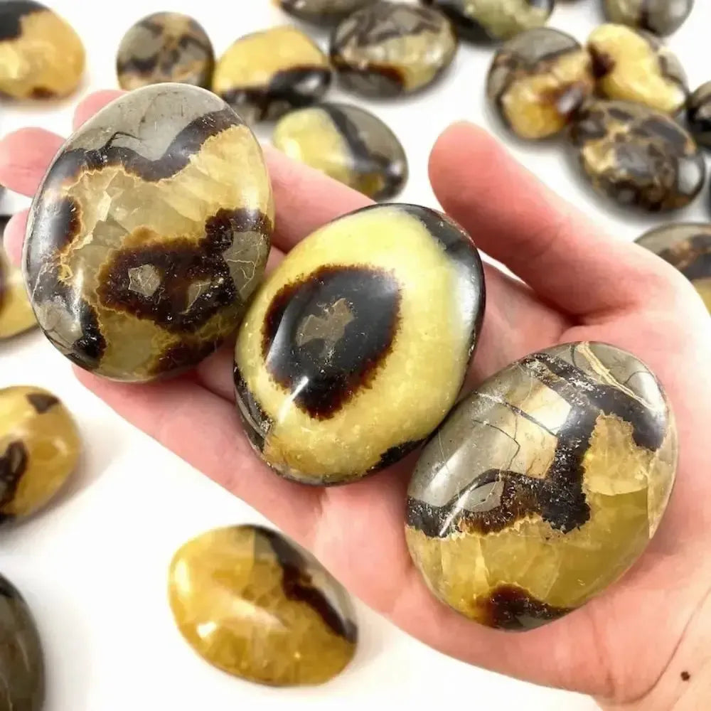 Polished Septarian palm stone with unique brown and yellow patterns, perfect as a healing worry rock for grounding energy.