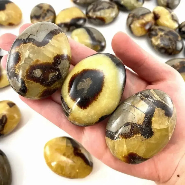 Polished Septarian palm stone with unique brown and yellow patterns, perfect as a healing worry rock for grounding energy.