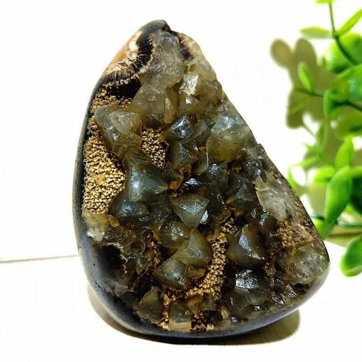 Polished Septarian freeform with gray stone, yellow calcite, and brown aragonite veins for Root Chakra grounding.