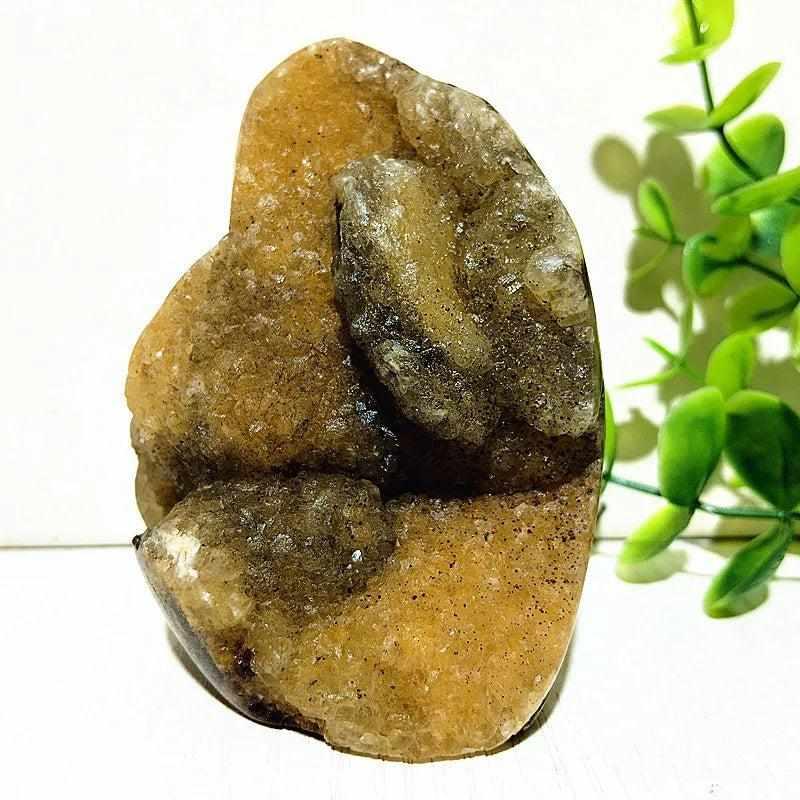 Polished Septarian freeform with yellow calcite and brown aragonite veins, perfect for grounding and Root Chakra healing.