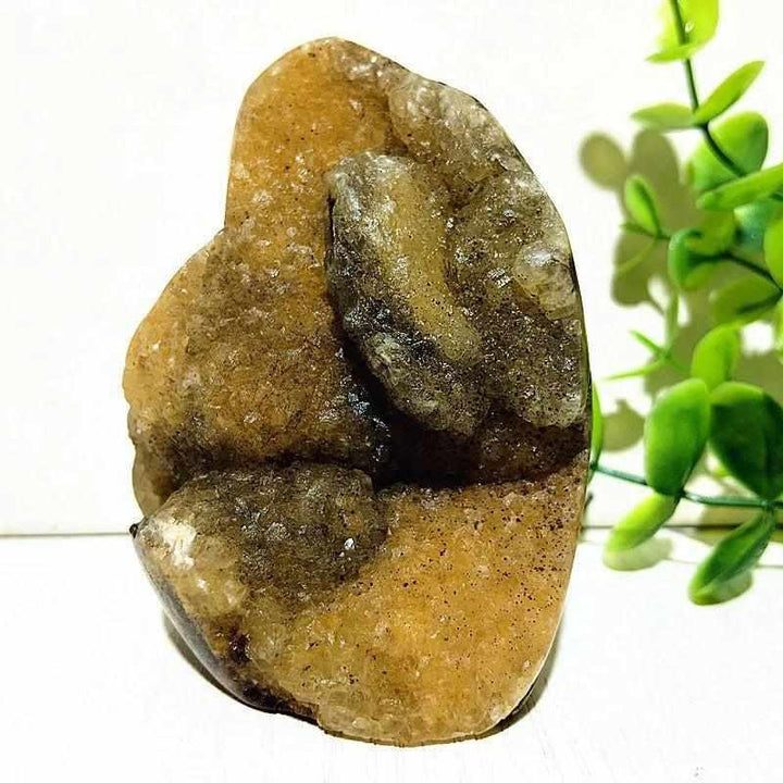 Polished Septarian freeform with yellow calcite and brown aragonite veins, perfect for grounding and Root Chakra healing.