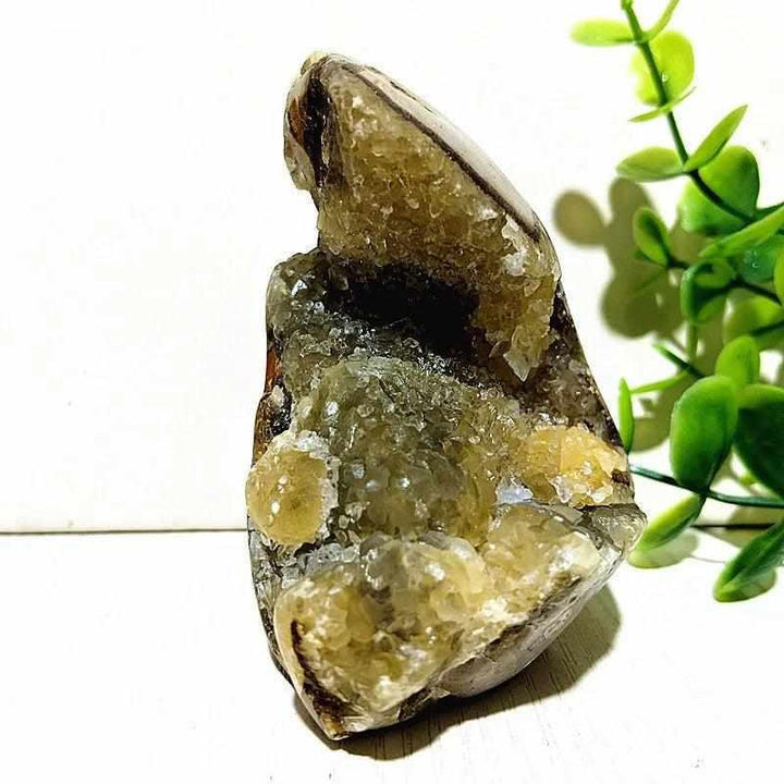 Polished Septarian freeform with yellow calcite and brown aragonite veins, perfect for root chakra grounding and decor.