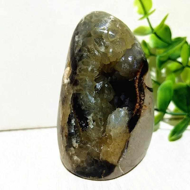 Polished Septarian freeform with yellow calcite and brown aragonite veins, perfect for root chakra grounding and decor.