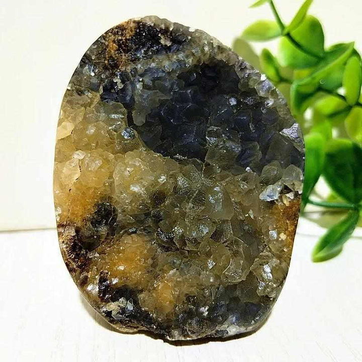 Polished Septarian freeform with yellow calcite and brown aragonite veins, perfect for root chakra grounding and decor.