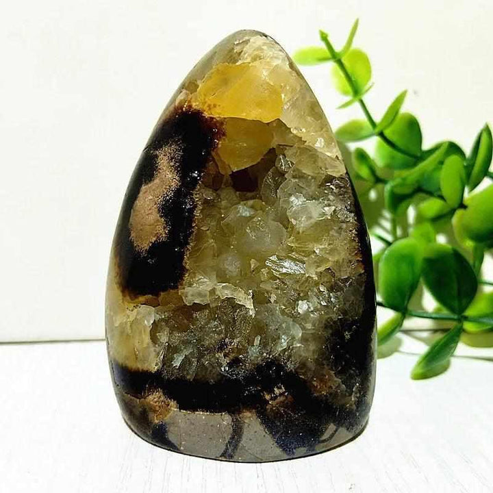 Polished Septarian freeform with yellow calcite and brown aragonite veins for grounding and root chakra healing.