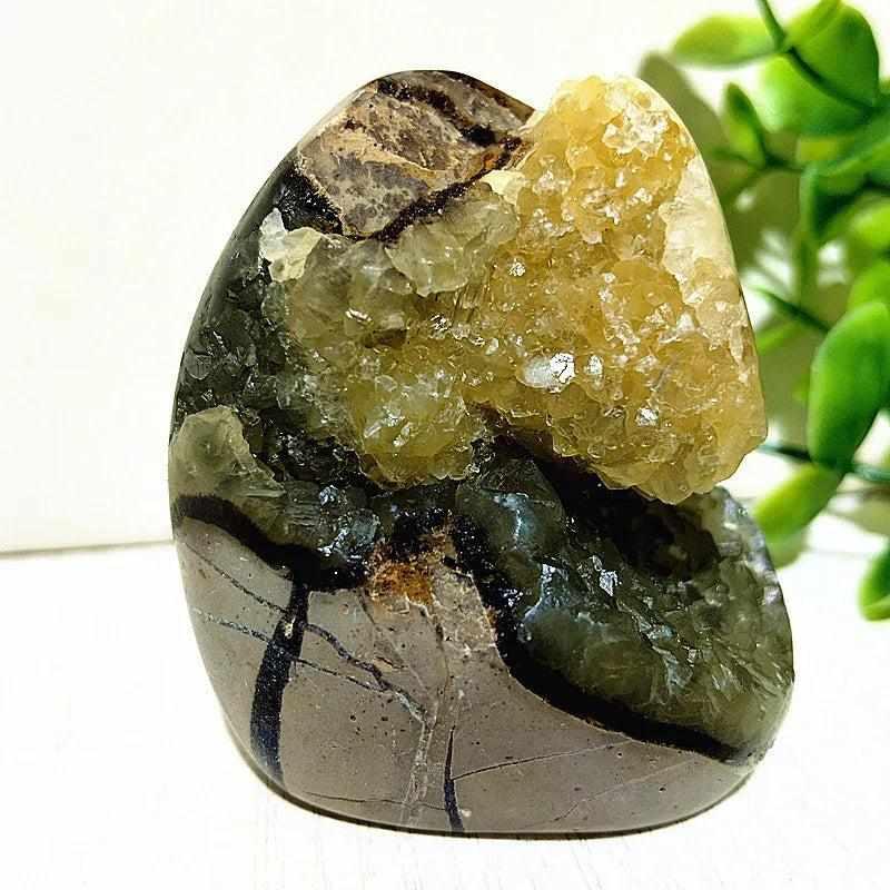 Polished Septarian freeform with yellow calcite and brown aragonite veins, perfect for root chakra grounding and decor.