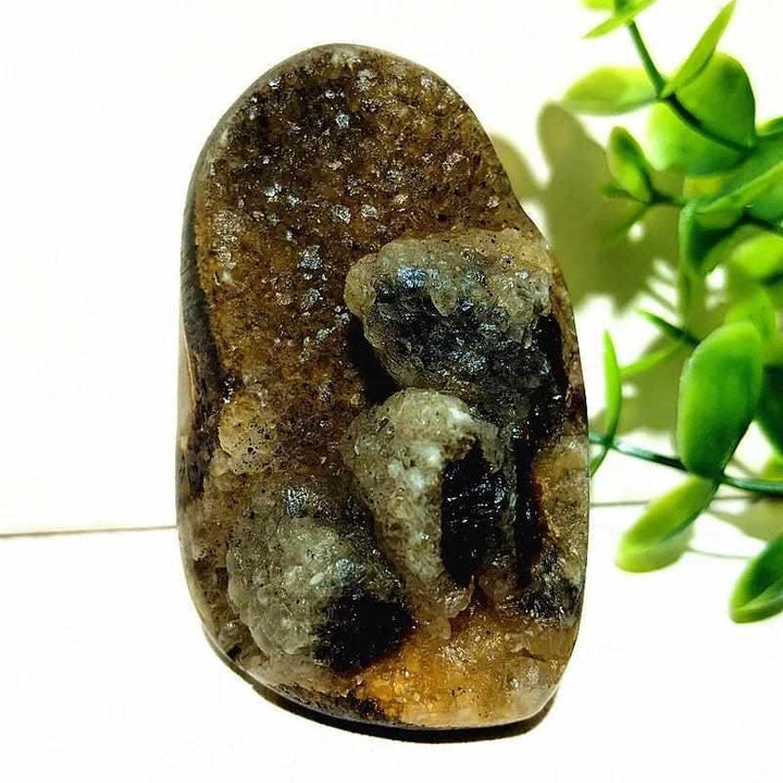 Polished Septarian freeform with grounding brown and gray dragon stone patterns, perfect for Root Chakra meditation.