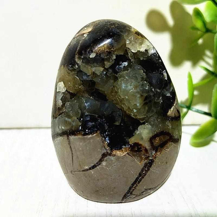 Polished Septarian freeform dragon stone with yellow calcite and brown aragonite veins for grounding and root chakra work.