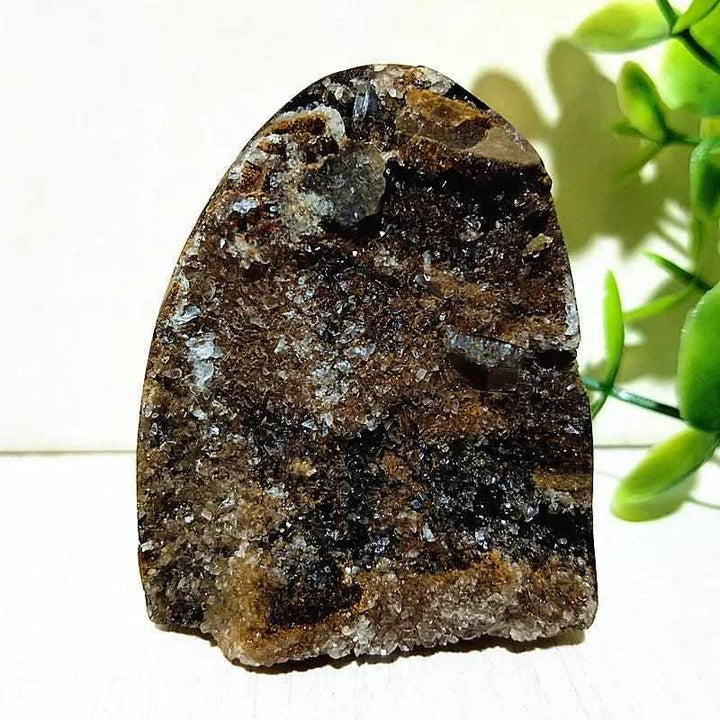 Polished Septarian freeform with yellow calcite and brown aragonite veins, perfect for root chakra grounding and decor.