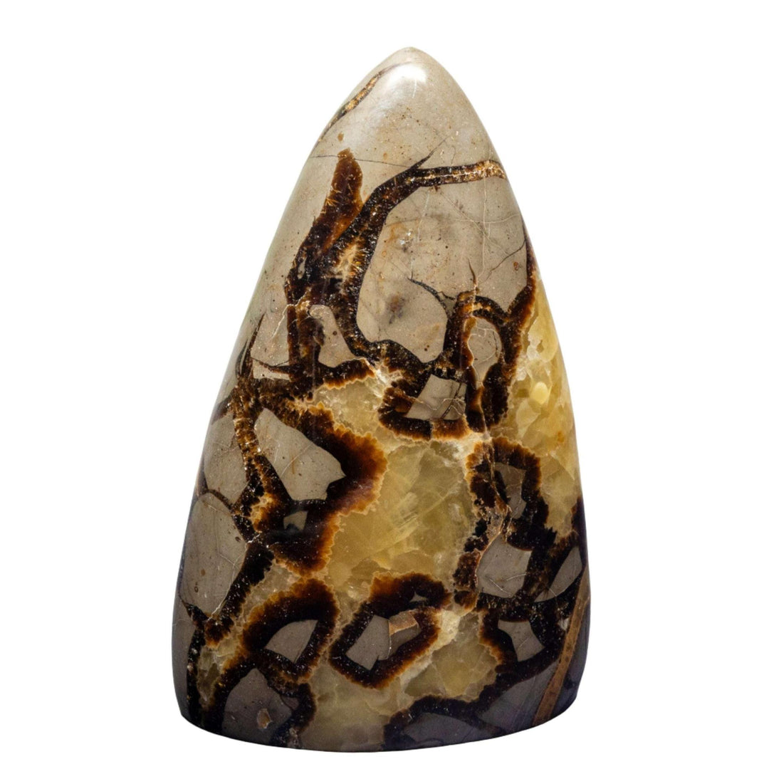 Septarian Stone Freeform: Unique yellow calcite, brown aragonite, and gray limestone nodule for grounding and communication.
