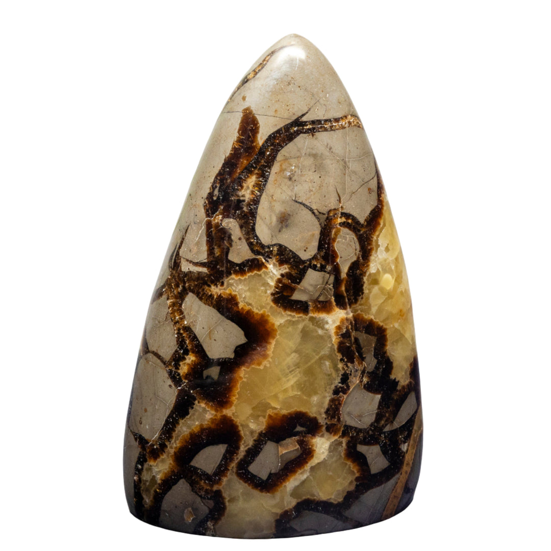 Septarian Stone Freeform-Freeforms-Crystal Destiny-Septarian Stone-1058g - 5.78"-Crystal Destiny