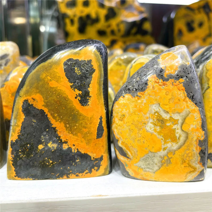 Bumblebee Jasper Crystal Polished Stone Freeform (Rare)