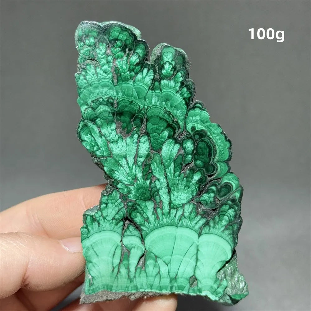 Malachite Raw Crystal Natural Stone Slice Mineral Slab