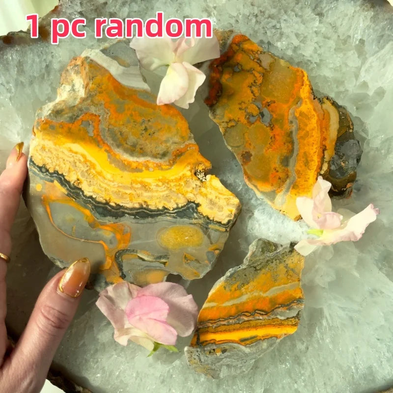 Bumblebee Jasper Crystal Slice (Rare)