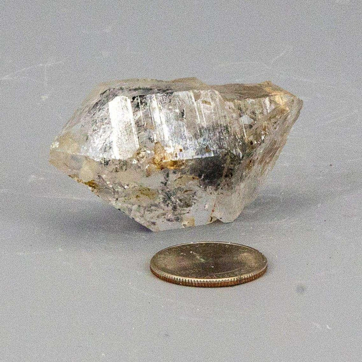 Skeletal Elestial Quartz Point Black Tourmaline: Clear, multi-layered crystal with dark tourmaline, next to a coin.