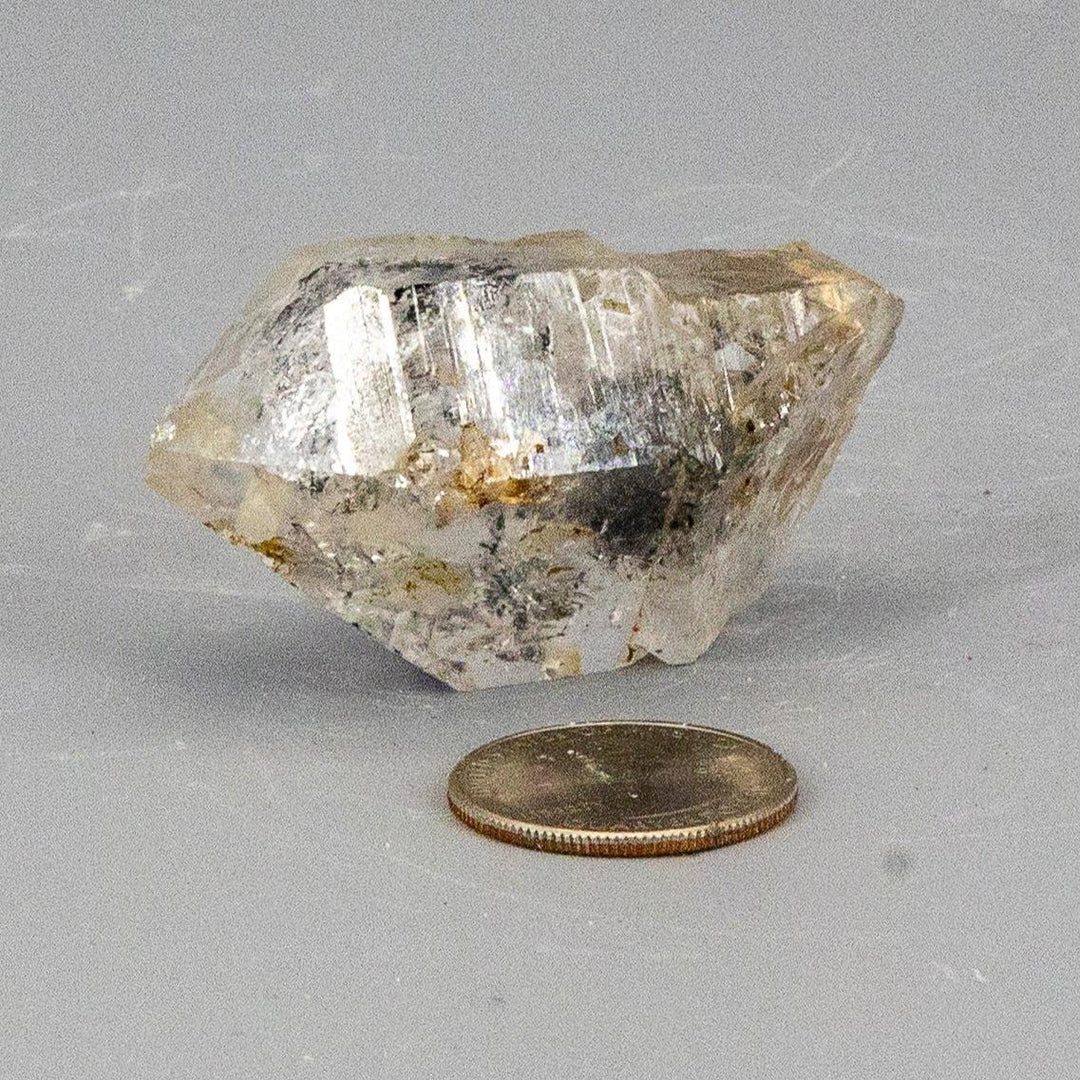 Skeletal Elestial Quartz Point w/t Black Tourmaline Inclusions-Raw-Crystal Destiny-Quartz-60g - 2.25L x 1.25"W-Crystal Destiny