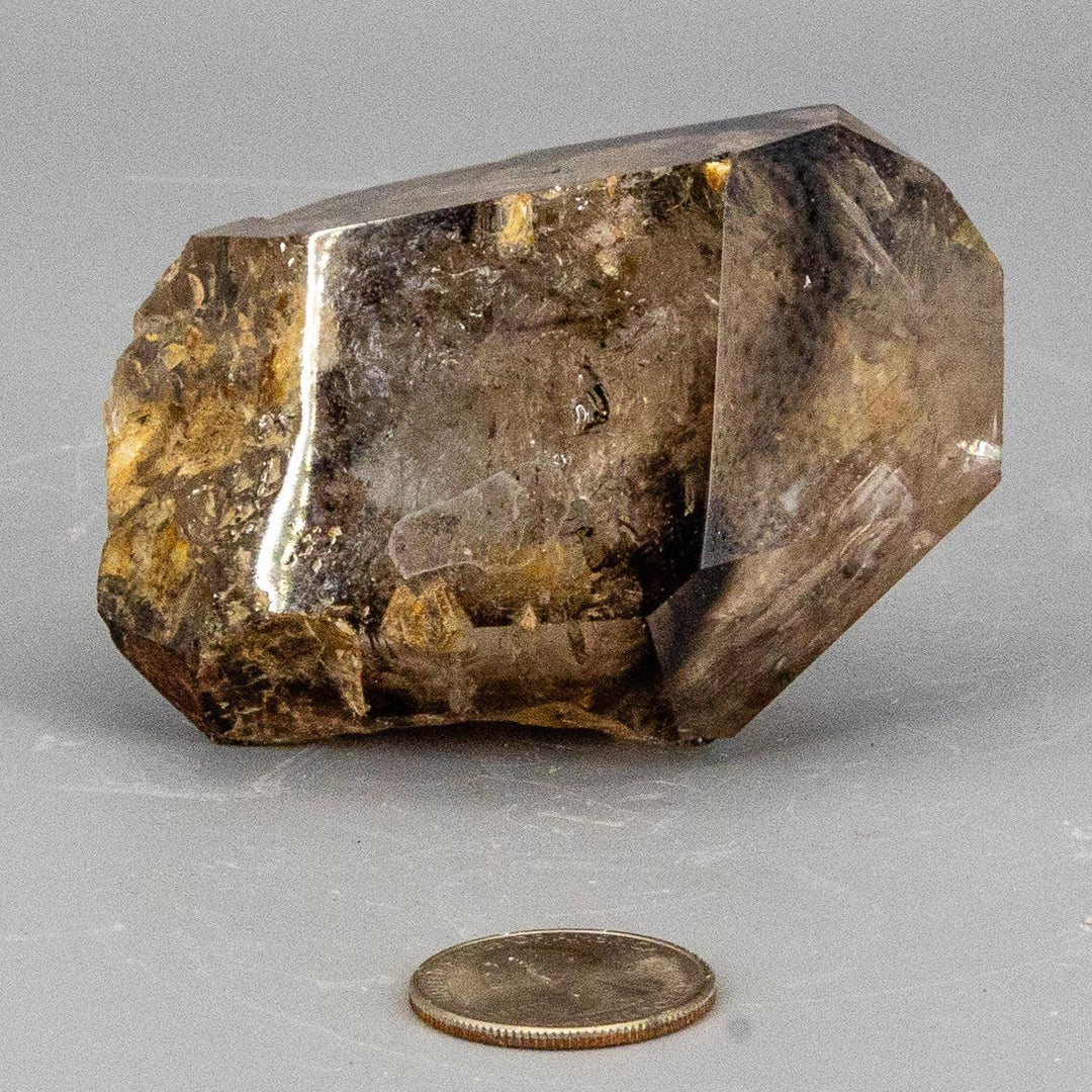 Skeletal Elestial Smoky Quartz Enhydro-Points-Crystal Destiny-Smoky Elestial Enhydro Quartz-236g - 3.00"L x 2.00"W x 1.50"D-Crystal Destiny