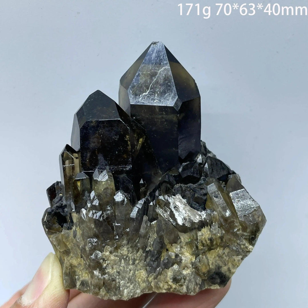 Smoky Quartz Crystal Cluster