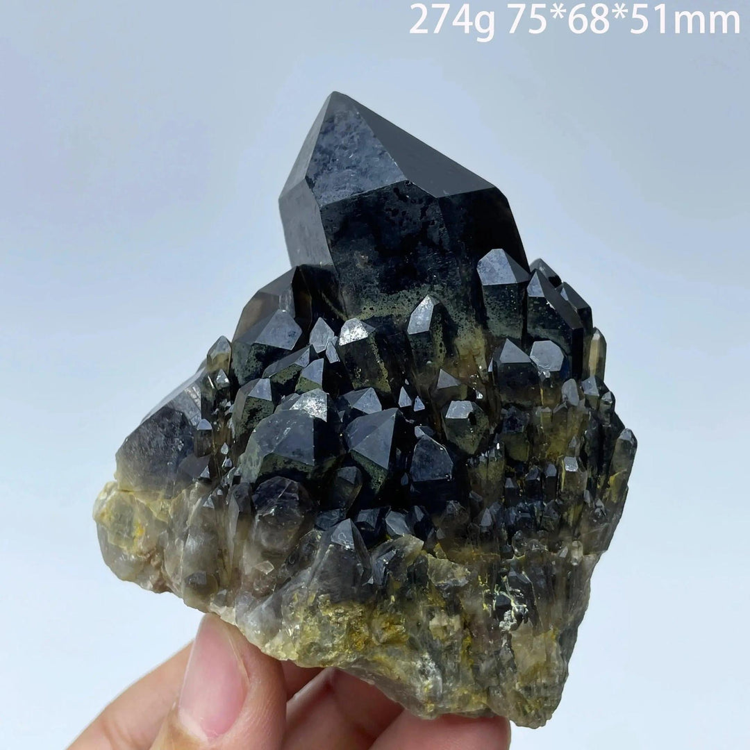 Smoky Quartz Crystal Cluster