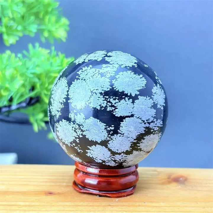 Snowflake Obsidian Sphere: Deep black volcanic crystal with delicate white snowflake patterns on a wooden stand.