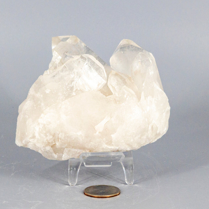 Sweet Clear Quartz Point Cluster-Clusters-Crystal Destiny-Clear Quartz-472g - 4.00"W x 4.50"L x 1.50"H-Crystal Destiny