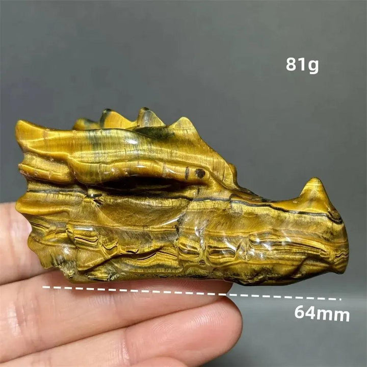 Tiger Eye Dragon Skull Carving | Hand-Carved Crystal Figurine