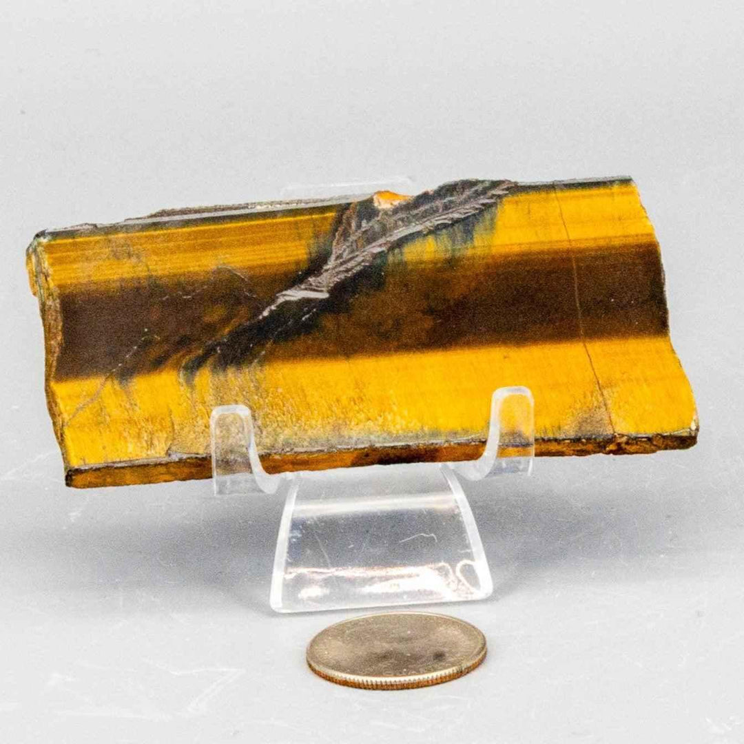 Tiger's Eye Polished Slice: Golden healing stone with shimmering brown bands, showcasing chatoyancy.