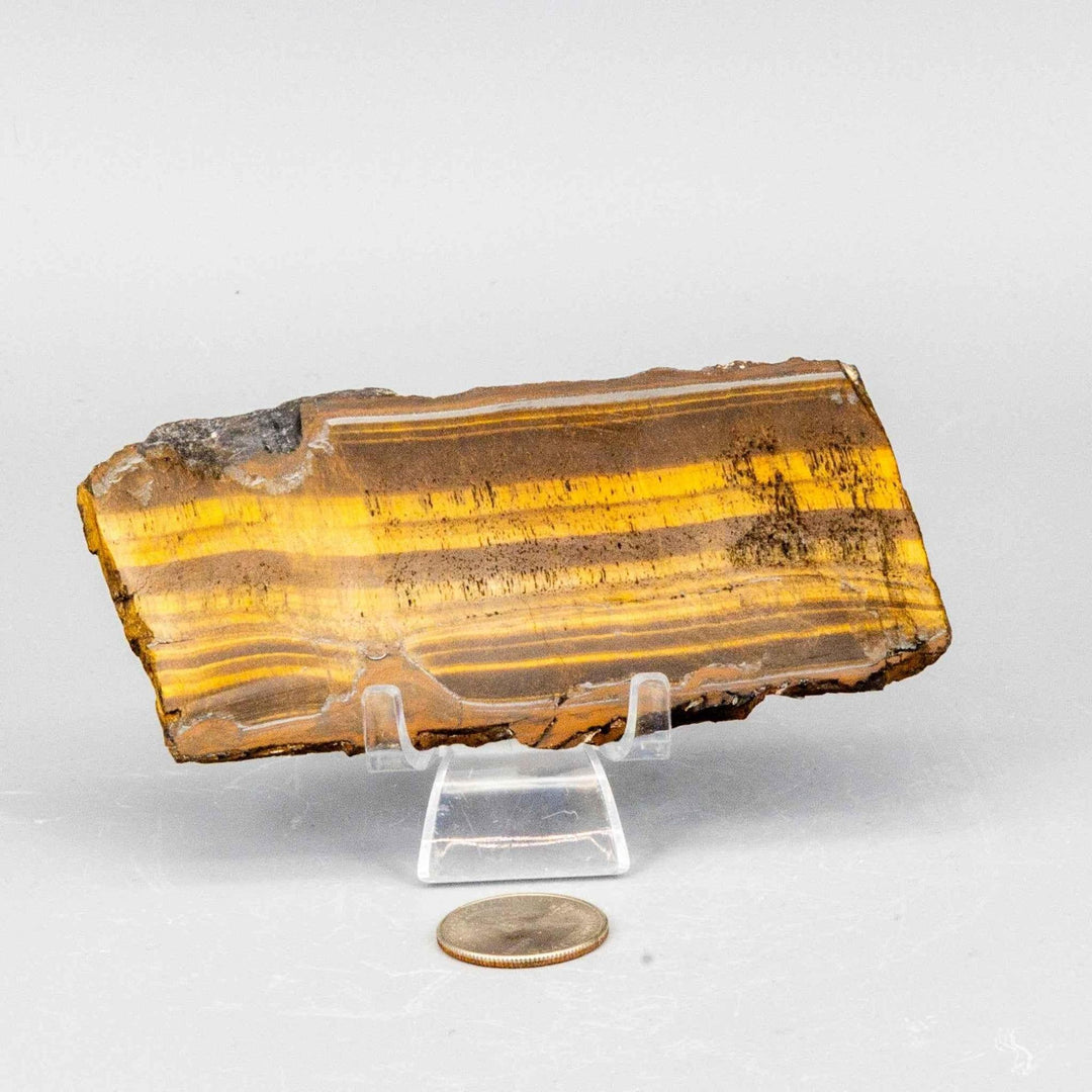 Tiger's Eye Polished Slice: Golden healing stone with shimmering brown bands, showcasing chatoyancy.