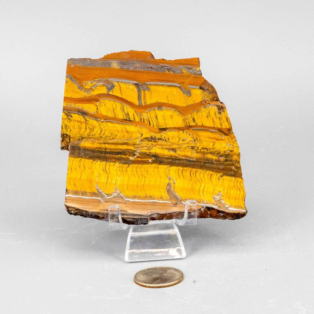 Tiger's Eye Polished Slice: Golden healing stone with shimmering chatoyancy and unique brown banding.