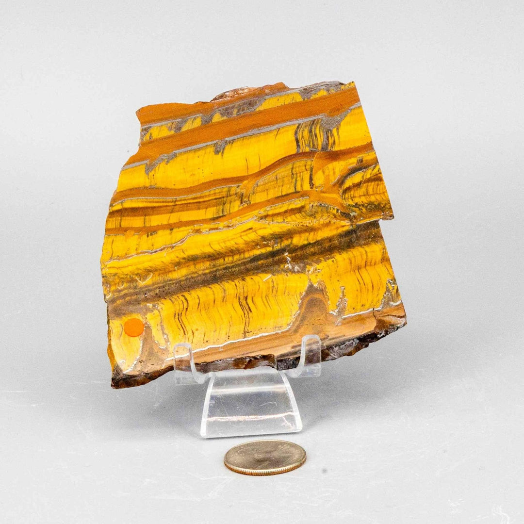 Tiger's Eye Polished Slices, Golden Healing Stone