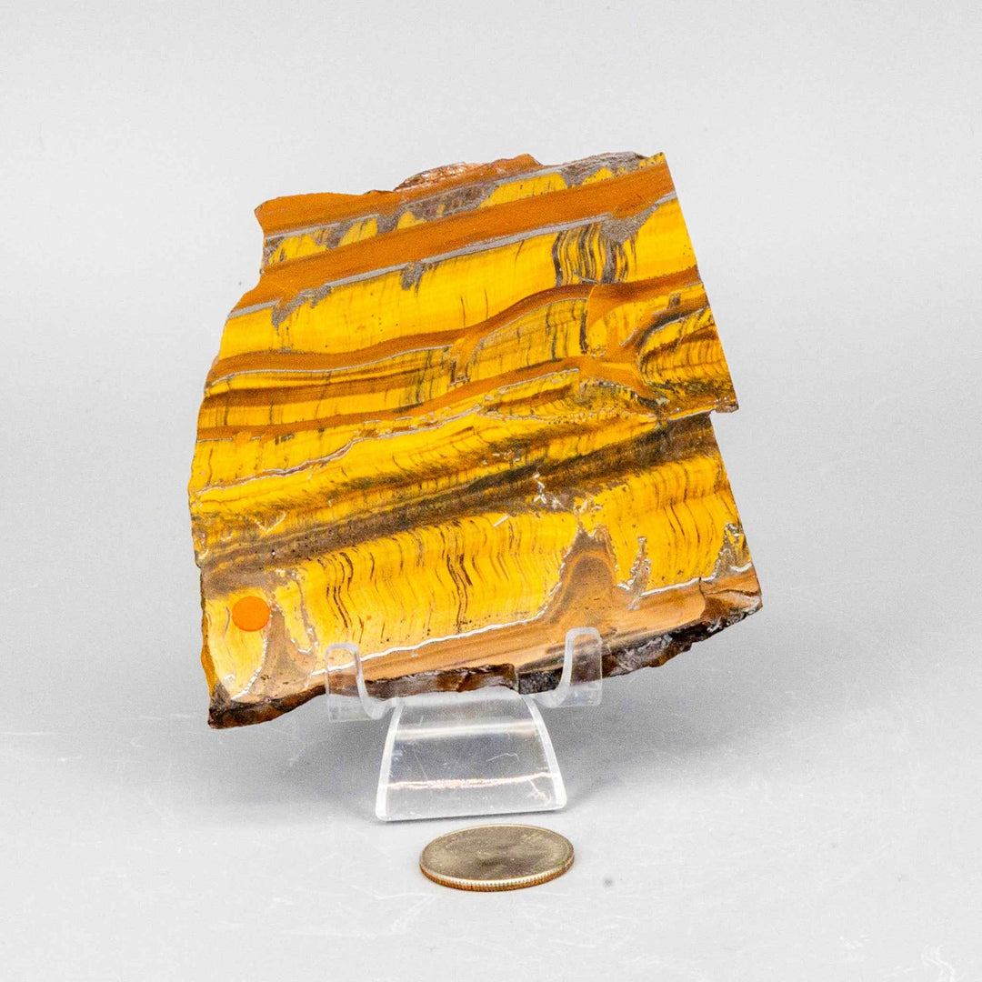 Tiger's Eye Polished Slices, Golden Healing Stone-Slabs-Crystal Destiny-Tiger's Eye-60g - 3.50"L x 1.50"W-Crystal Destiny