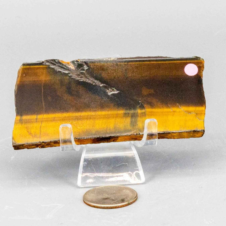 Tiger's Eye Polished Slices, Golden Healing Stone-Slabs-Crystal Destiny-Tiger's Eye-60g - 3.50"L x 1.50"W-Crystal Destiny