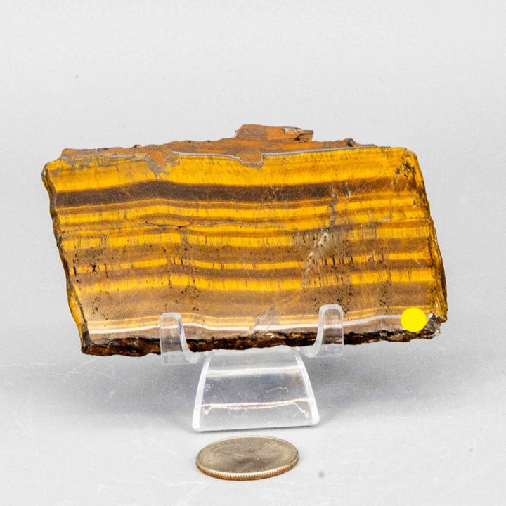 Tiger's Eye Polished Slices, Golden Healing Stone-Slabs-Crystal Destiny-Tiger's Eye-78g - 3.75"L X 2.25"W-Crystal Destiny