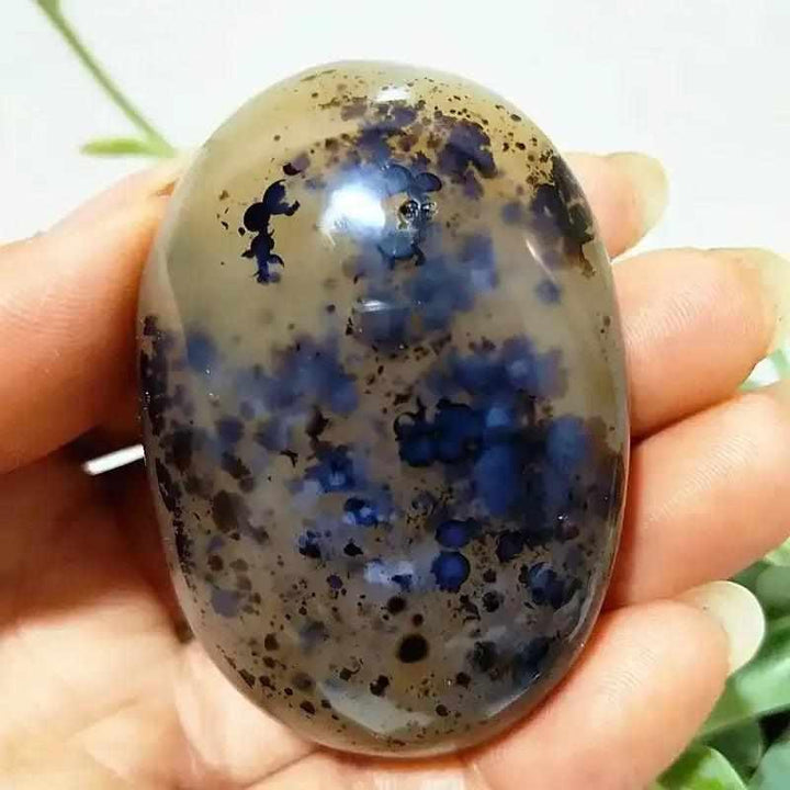 Smooth, hand-polished Tree Agate palm stone featuring cream tones and grounding, plant-like green branching patterns.