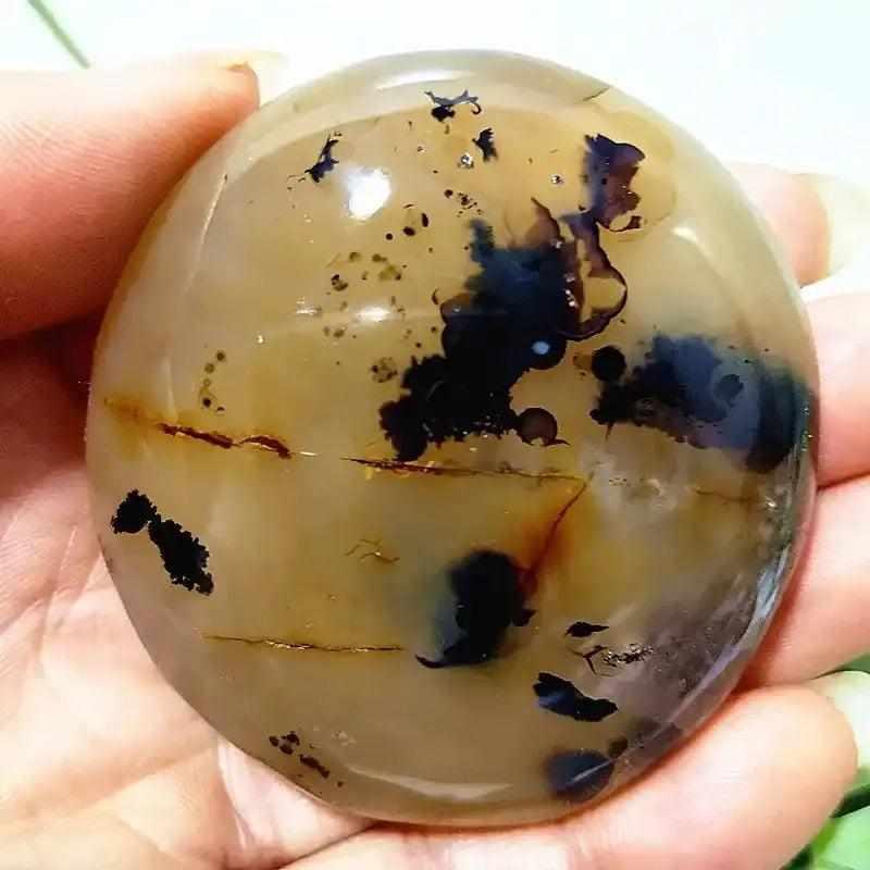 Smooth, hand-polished Tree Agate palm stone with cream tones and grounding plant-like markings for meditation.