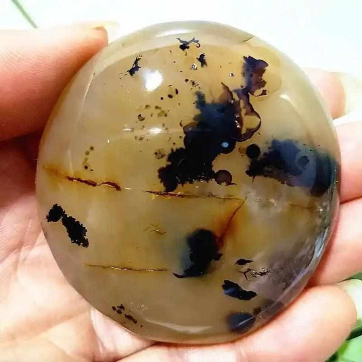Smooth, hand-polished Tree Agate palm stone with cream tones and grounding plant-like markings for meditation.