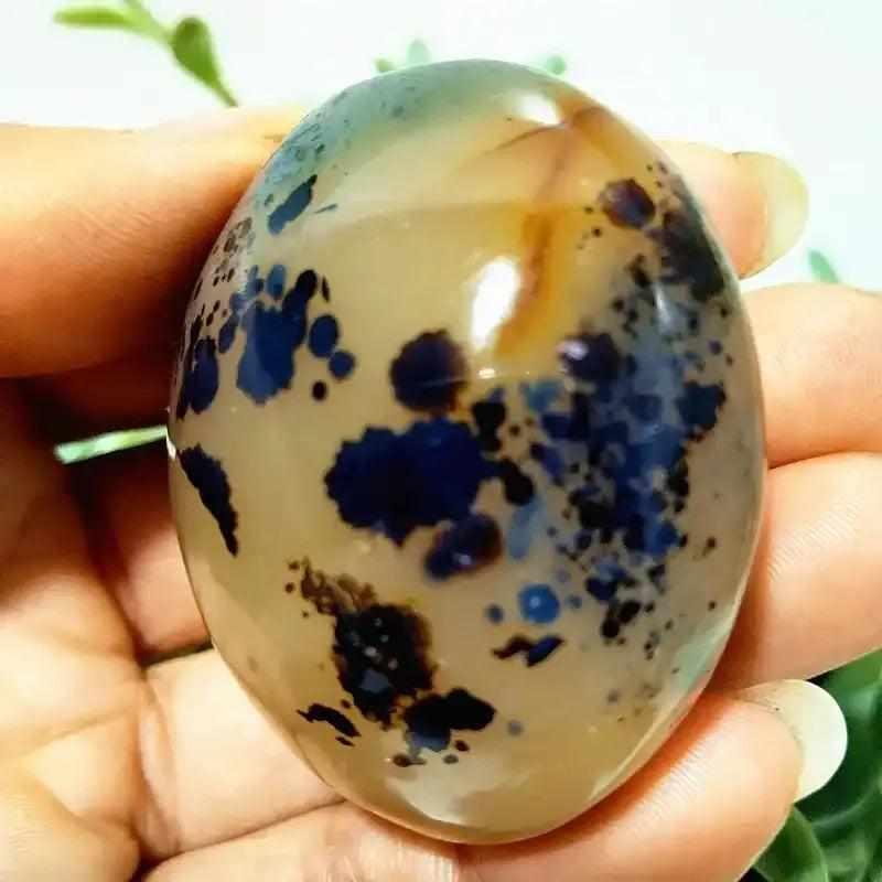 Smooth, hand-polished Tree Agate palm stone with cream body and green branching patterns for grounding and growth.