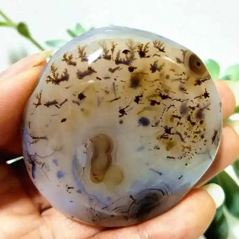 Smooth Tree Agate palm stone with cream tones and green, plant-like inclusions for grounding and steady growth.