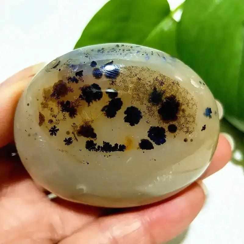 Smooth, hand-polished Tree Agate palm stone with cream-colored base and green branching patterns for grounding energy.