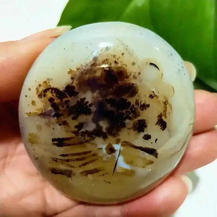 Smooth, hand-polished Tree Agate palm stone with cream body and green branching patterns for grounding and steady growth.