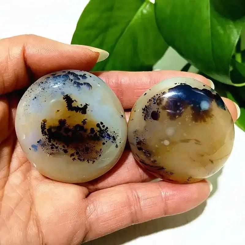 Smooth Tree Agate palm stones with cream bodies and green, plant-like markings for grounding and steady growth.