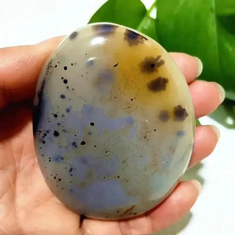 Smooth, polished Tree Agate palm stone with cream and blue-grey tones, perfect for grounding and heart chakra meditation.