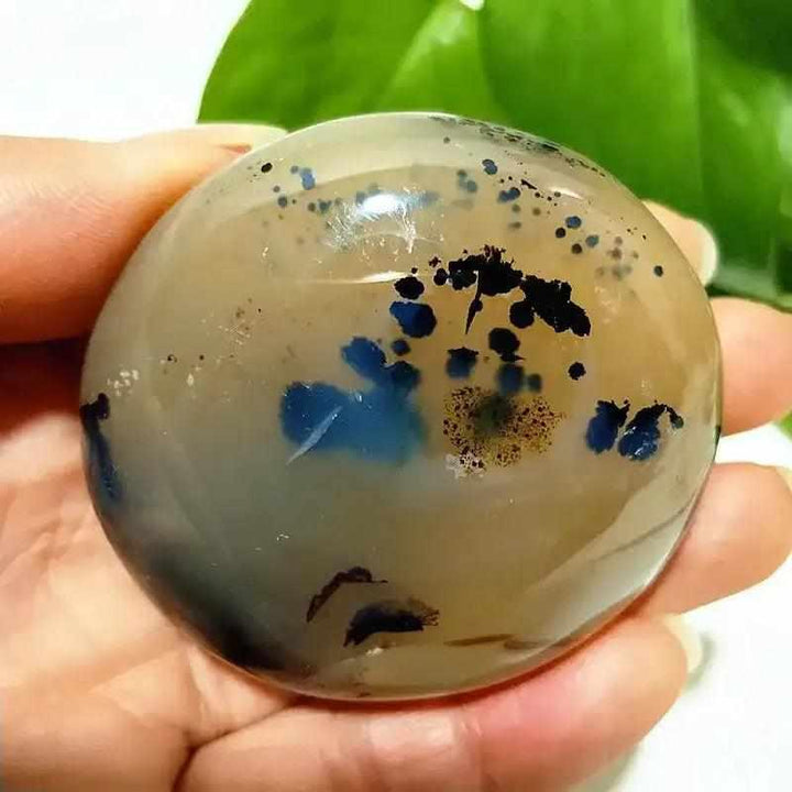 Smooth, polished Tree Agate palm stone with cream tones and grounding green plant-like inclusions for meditation.
