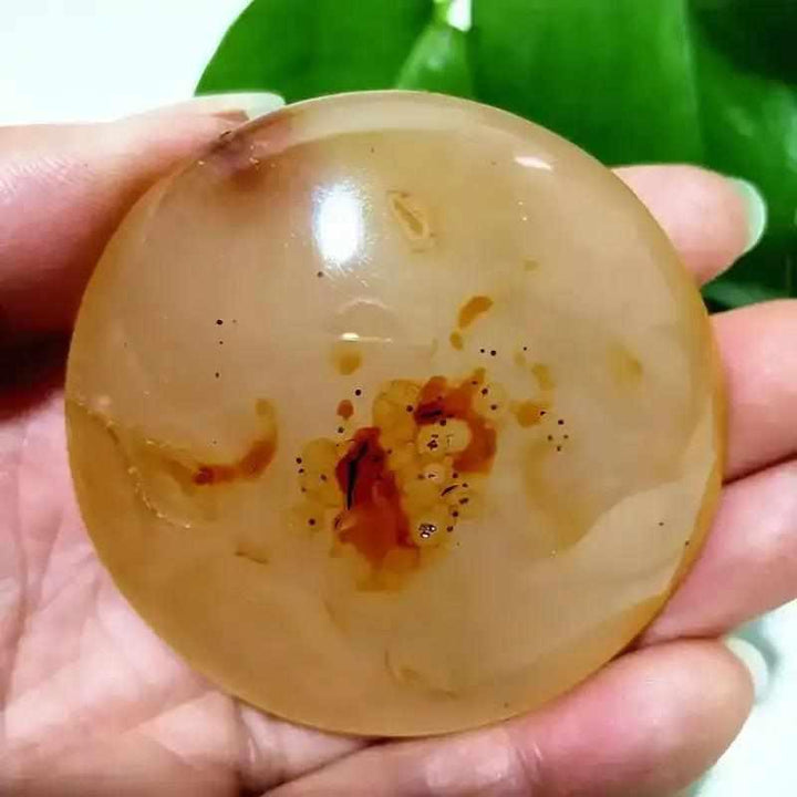 Smooth, hand-polished Tree Agate palm stone with cream tones and grounding plant-like markings for meditation.